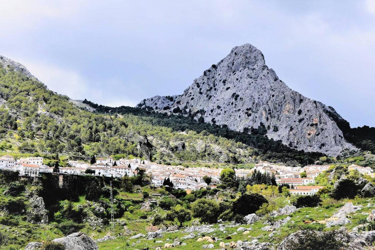 Casa Plaza Sierra Grazalema Villa Exteriör bild